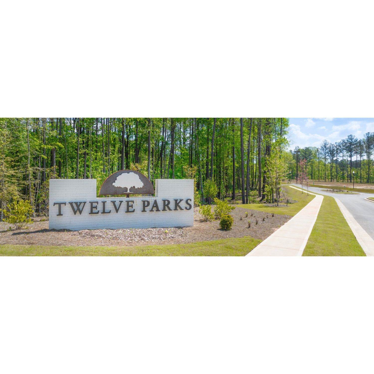6. Twelve Parks - Twelve Parks 2 Story building at 8 Foothills Trail, Sharpsburg, GA 30277