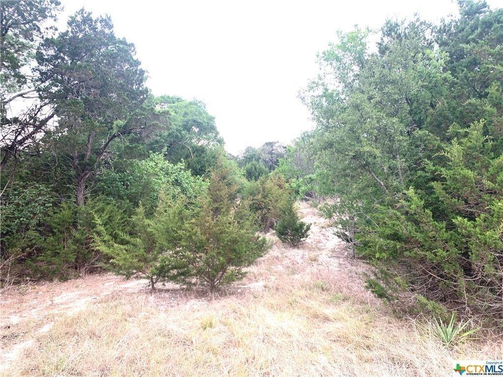 Land for Sale at Florence, TX 76527