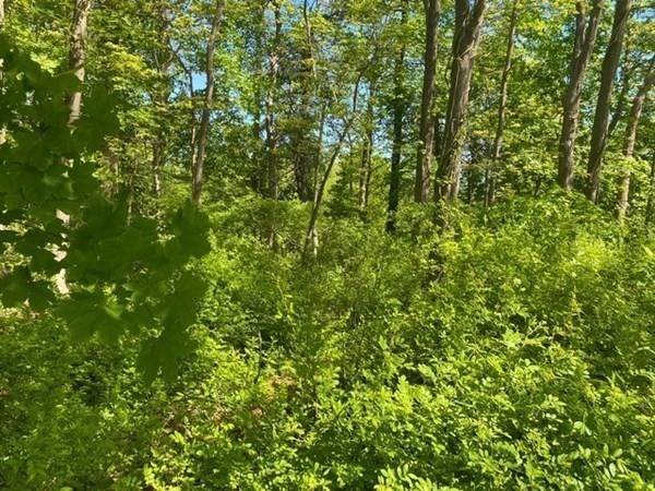 9. Land for Sale at Ipswich, MA 01938