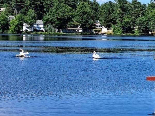 31. Single Family for Sale at Ayer, MA 01432