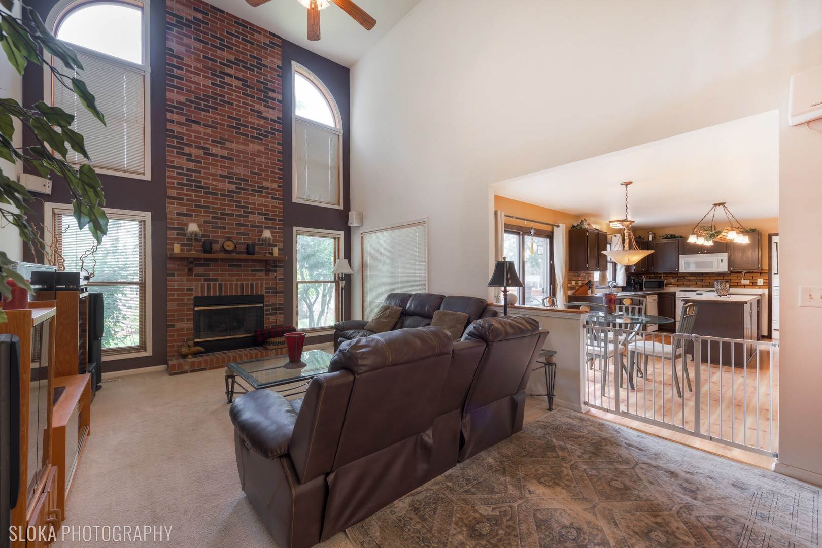 11. Single Family for Sale at Elgin, IL 60120