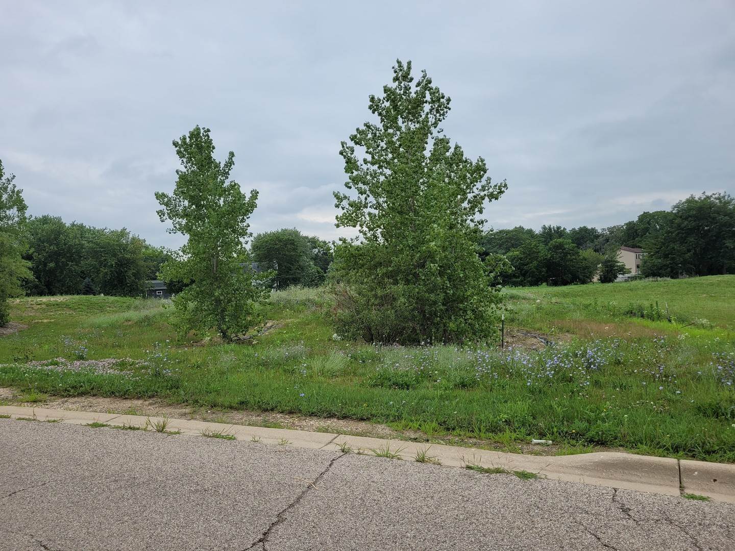 2. Land for Sale at Elgin, IL 60124