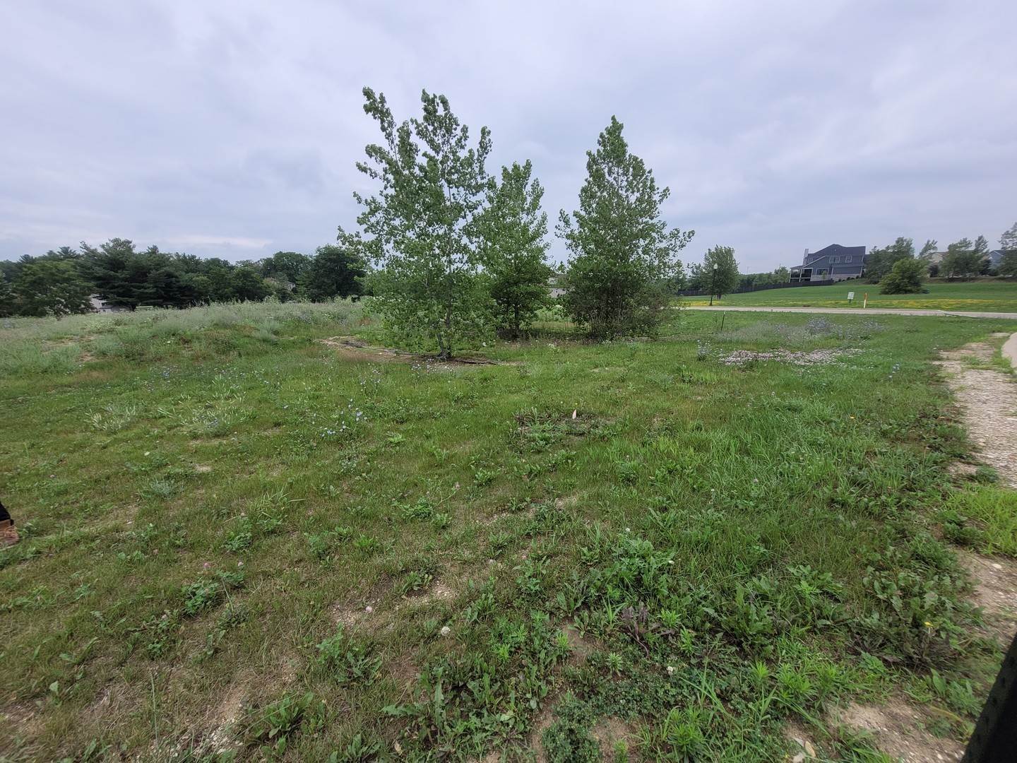 3. Land for Sale at Elgin, IL 60124