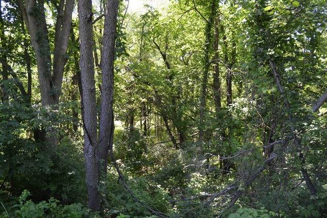 6. Land for Sale at Elgin, IL 60123