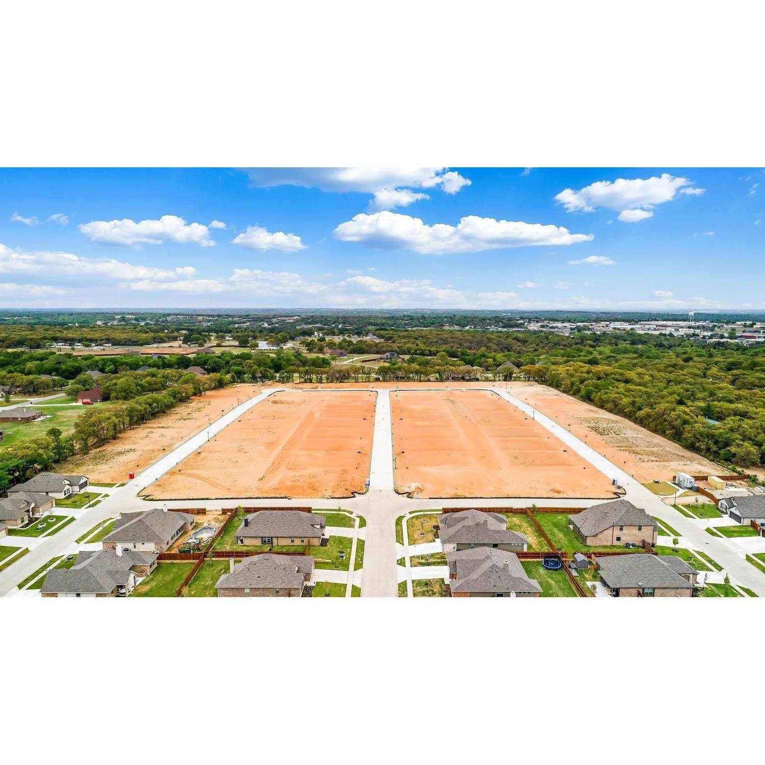25. Rosewood Estates建于 100 Magnolia Drive, 艾索, TX 76020