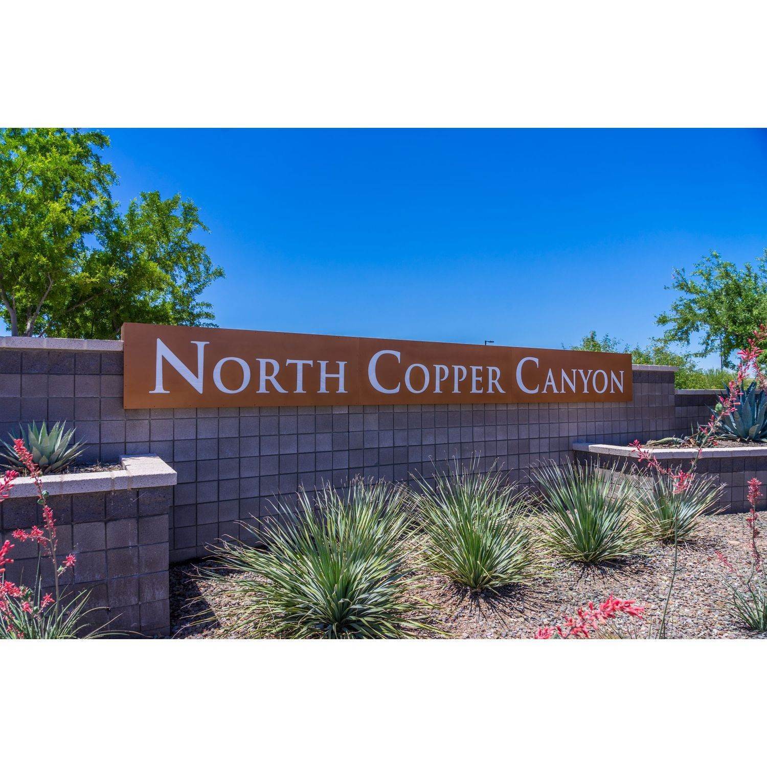 North Copper Canyon building at 17723 W Country Club Terrace, Surprise, AZ 85387