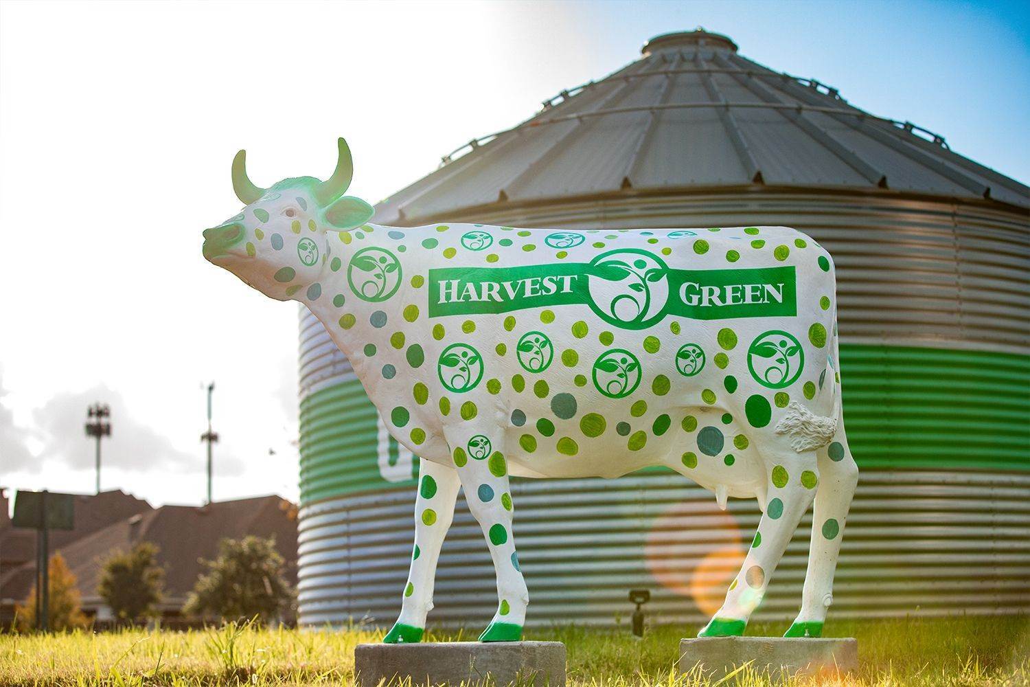 19. Harvest Green building at 2302 Home Sweet Home St, Richmond, TX 77406