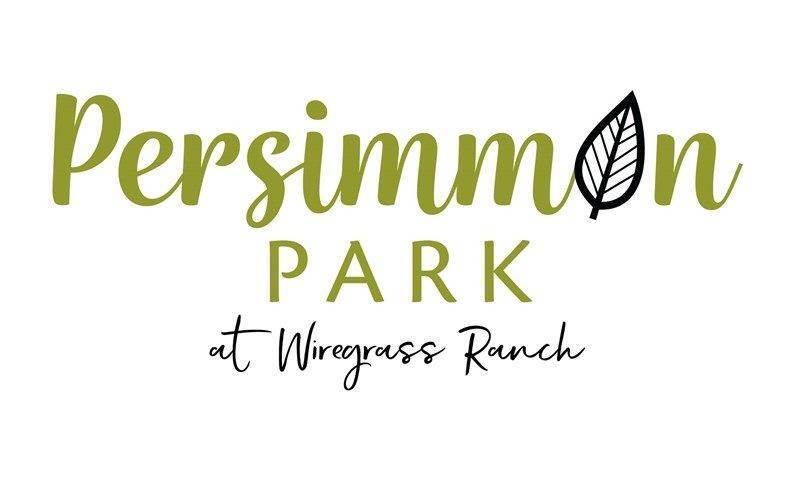 Persimmon Park - Garden Series建於 28778 Orange Berry Drive, Wesley Chapel, FL 33543
