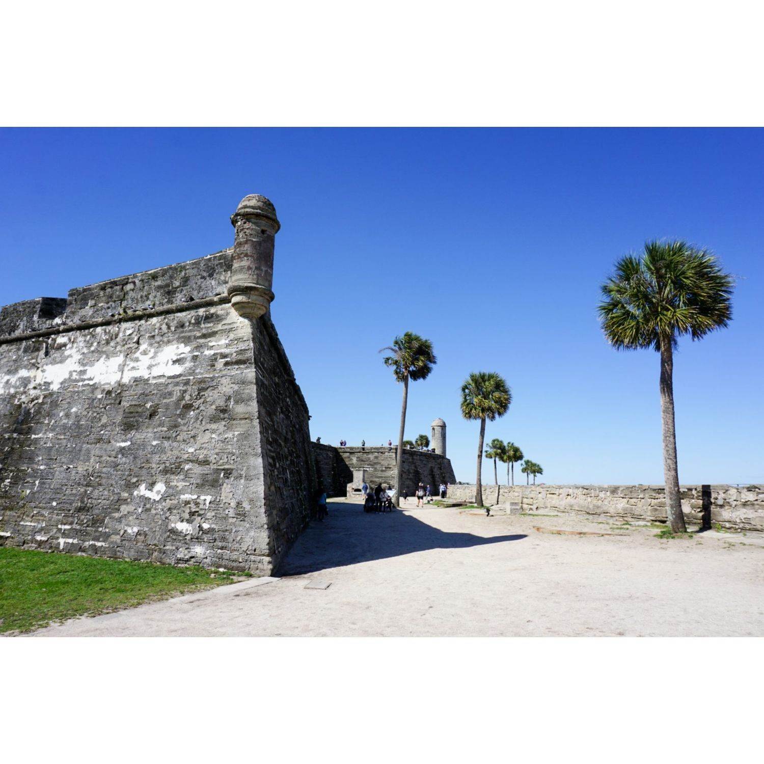 Cordova Palms建於 101 Bermudez Way, St. Augustine, FL 32095