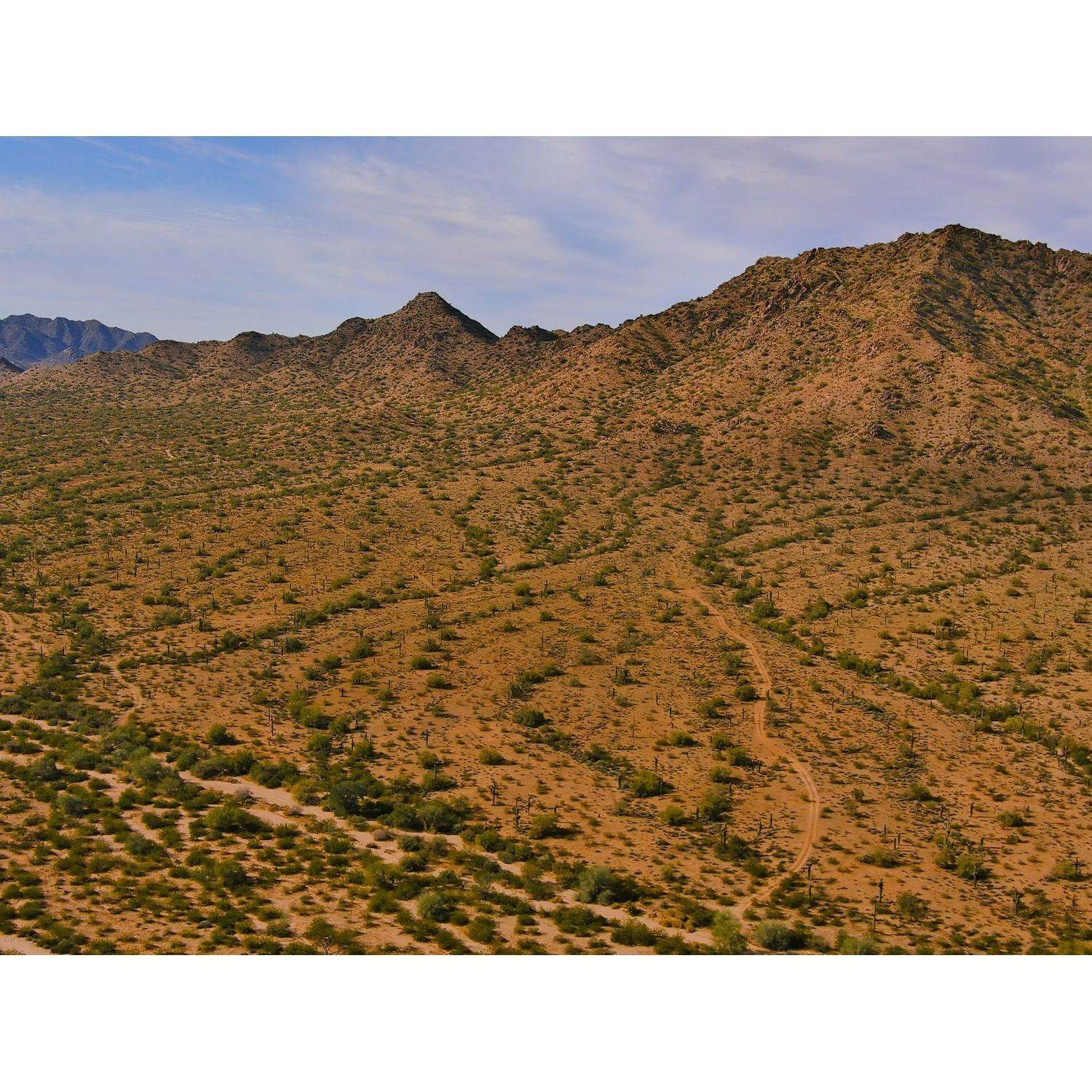 4. San Tan Groves - Reserve Series xây dựng tại 4431 W Hunter Trail, San Tan Valley, AZ 85142