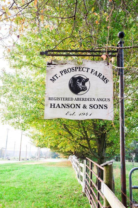 Mt. Prospect - The Hamlet Collection prédio em 12118 Hanson Farm Dr, North Potomac, MD 20878