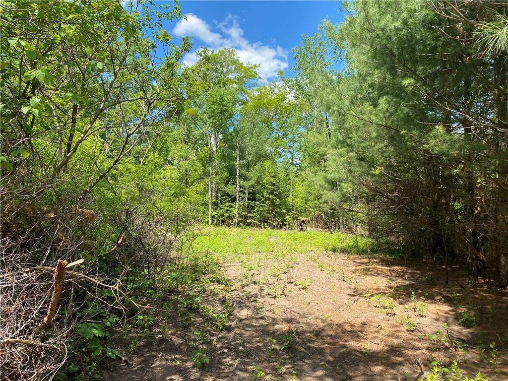 2. Land for Sale at Hayward, WI 54843