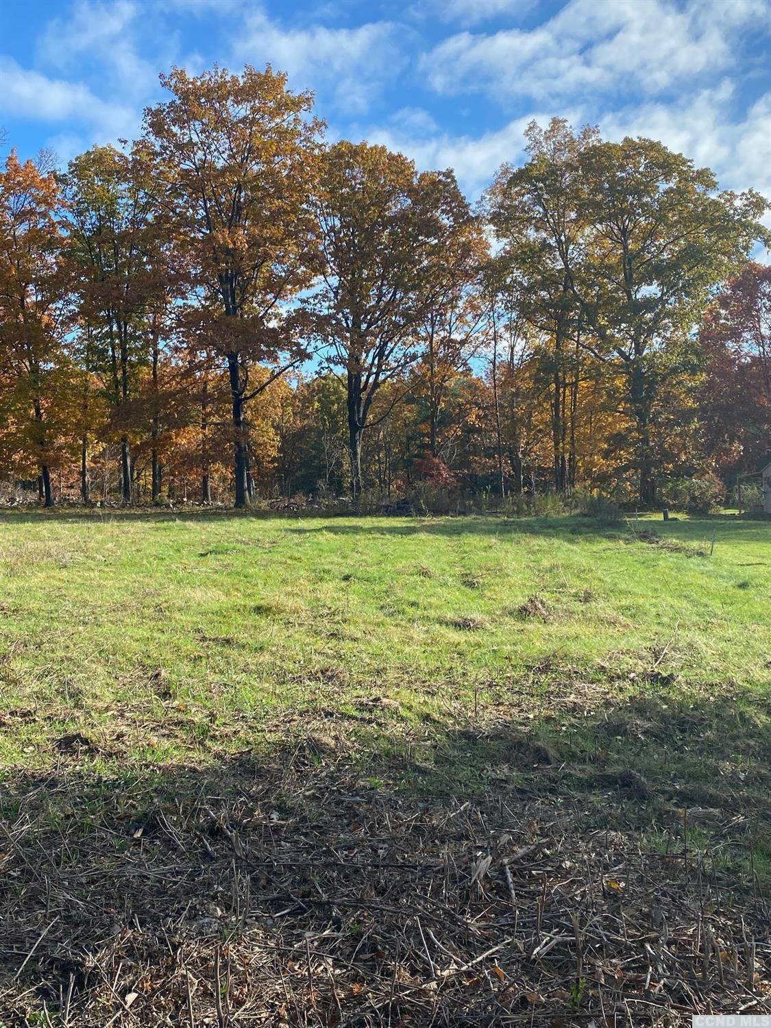 7. Land for Sale at Greenville, NY 12083