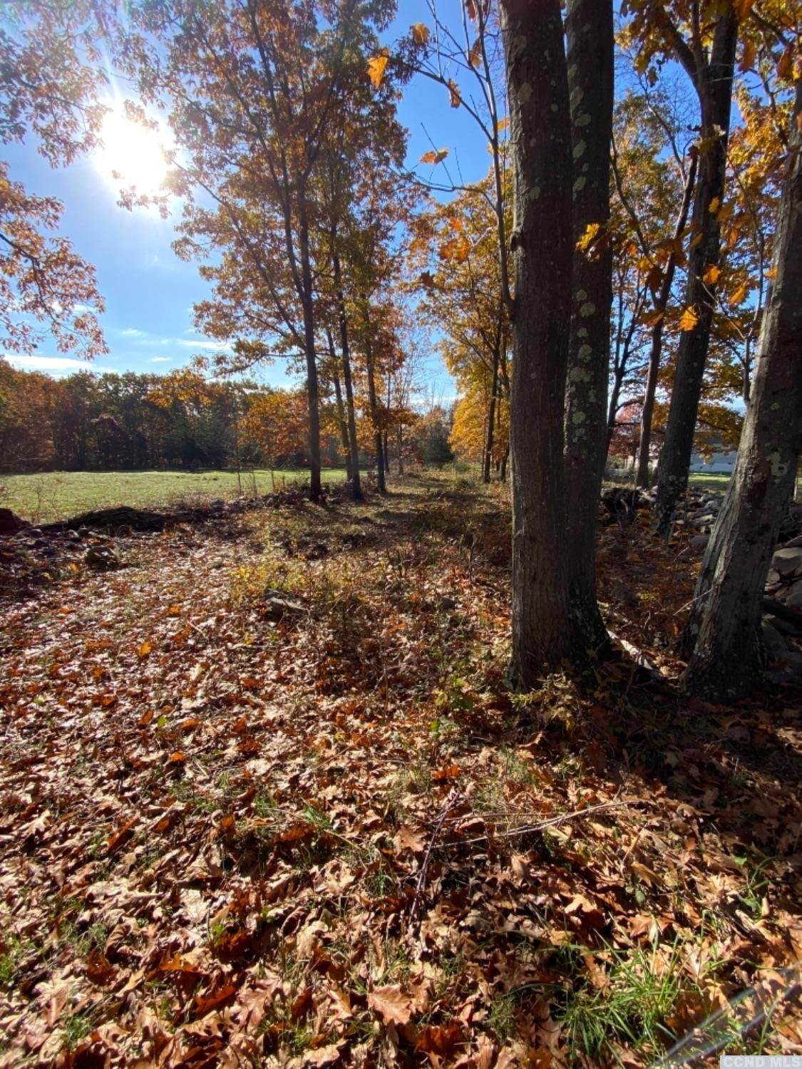 13. Land for Sale at Greenville, NY 12083
