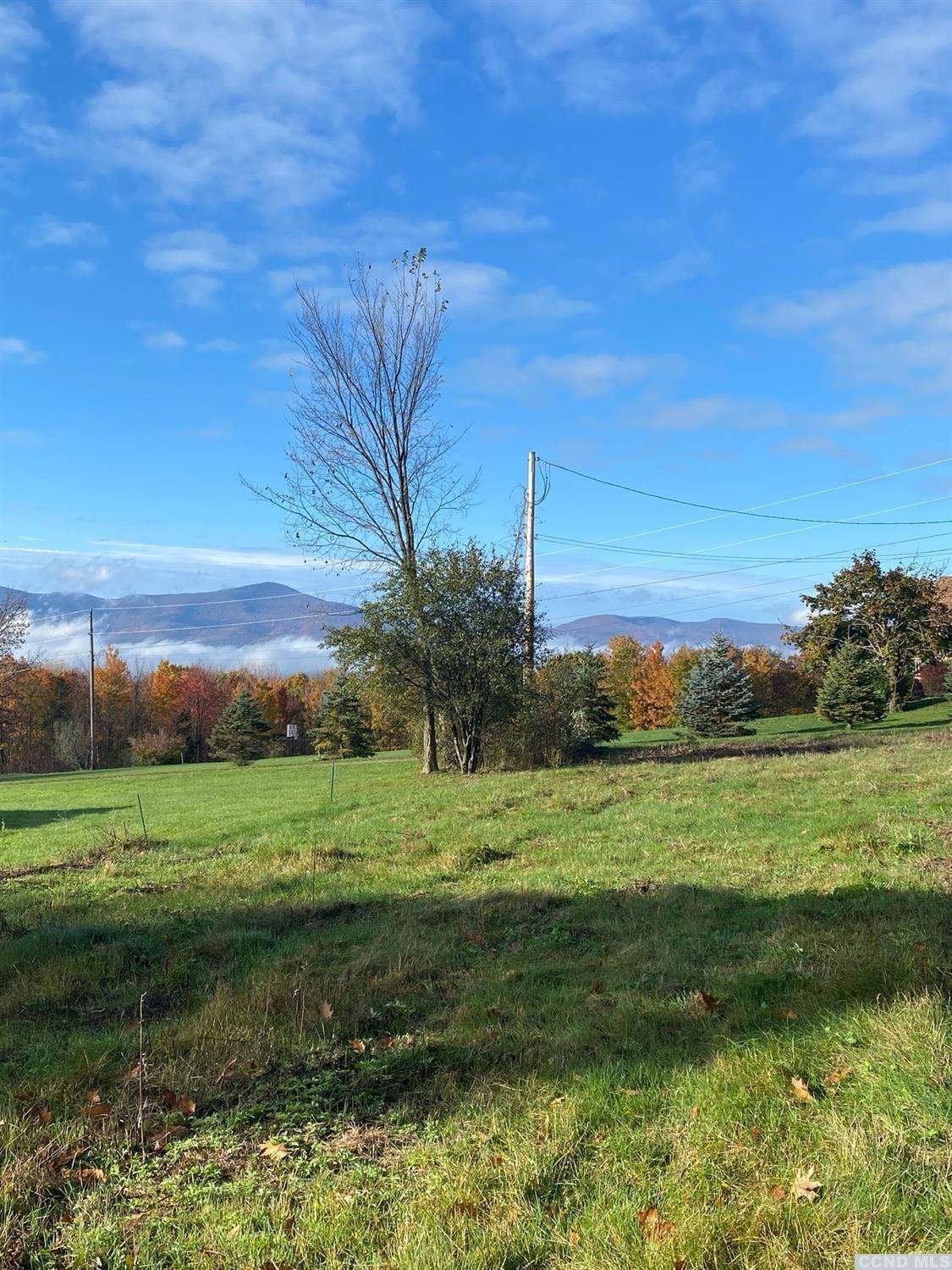 6. Land for Sale at Greenville, NY 12083