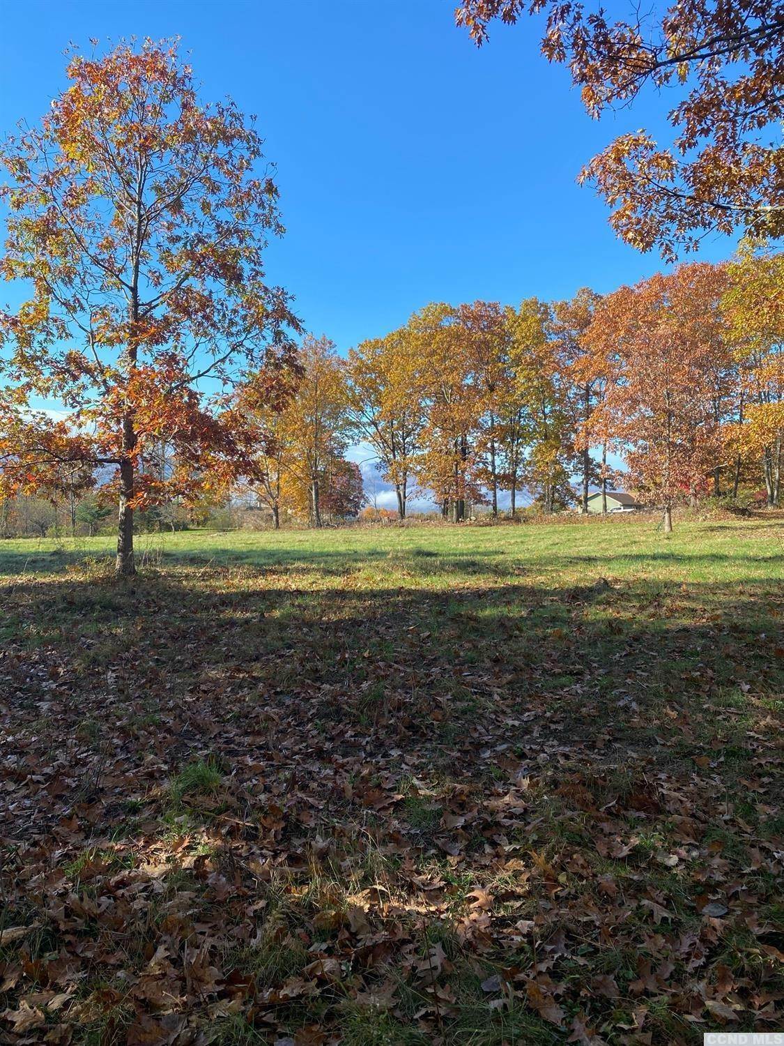 8. Land for Sale at Greenville, NY 12083