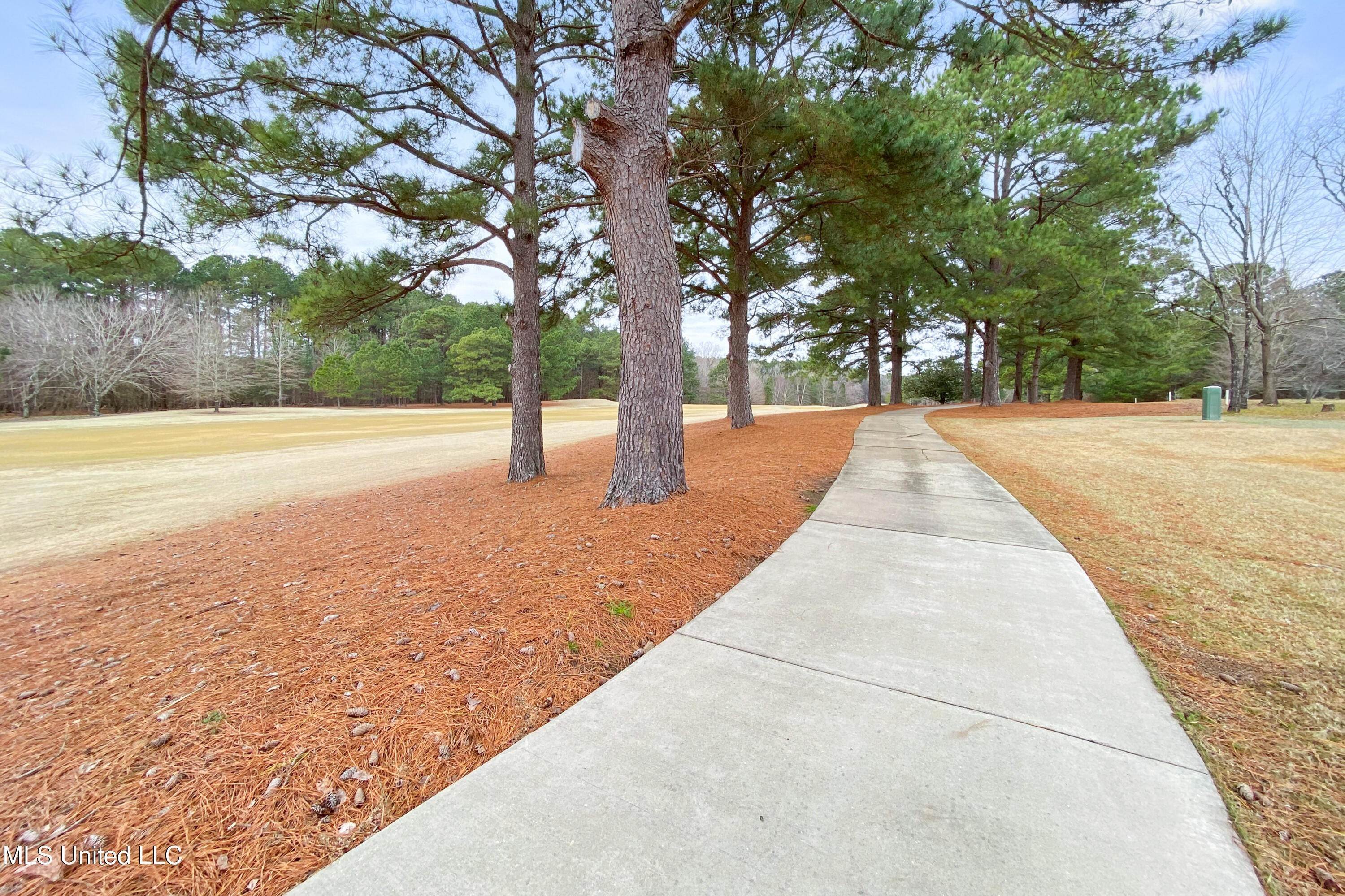 3. Land for Sale at Madison, MS 39110