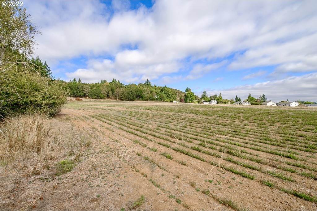 18. Land for Sale at Monroe, OR 97456