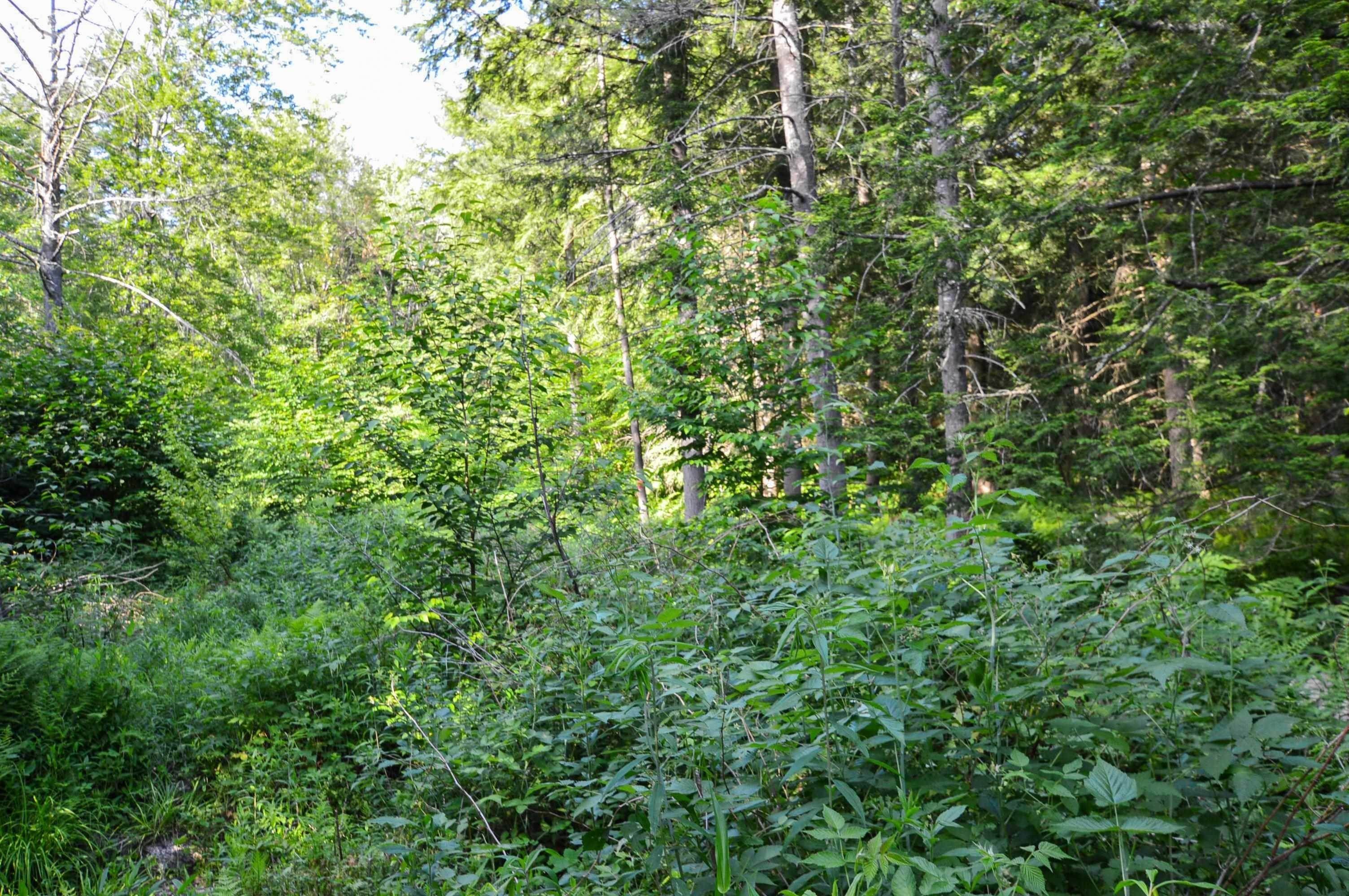15. Land for Sale at Chester, VT 05143
