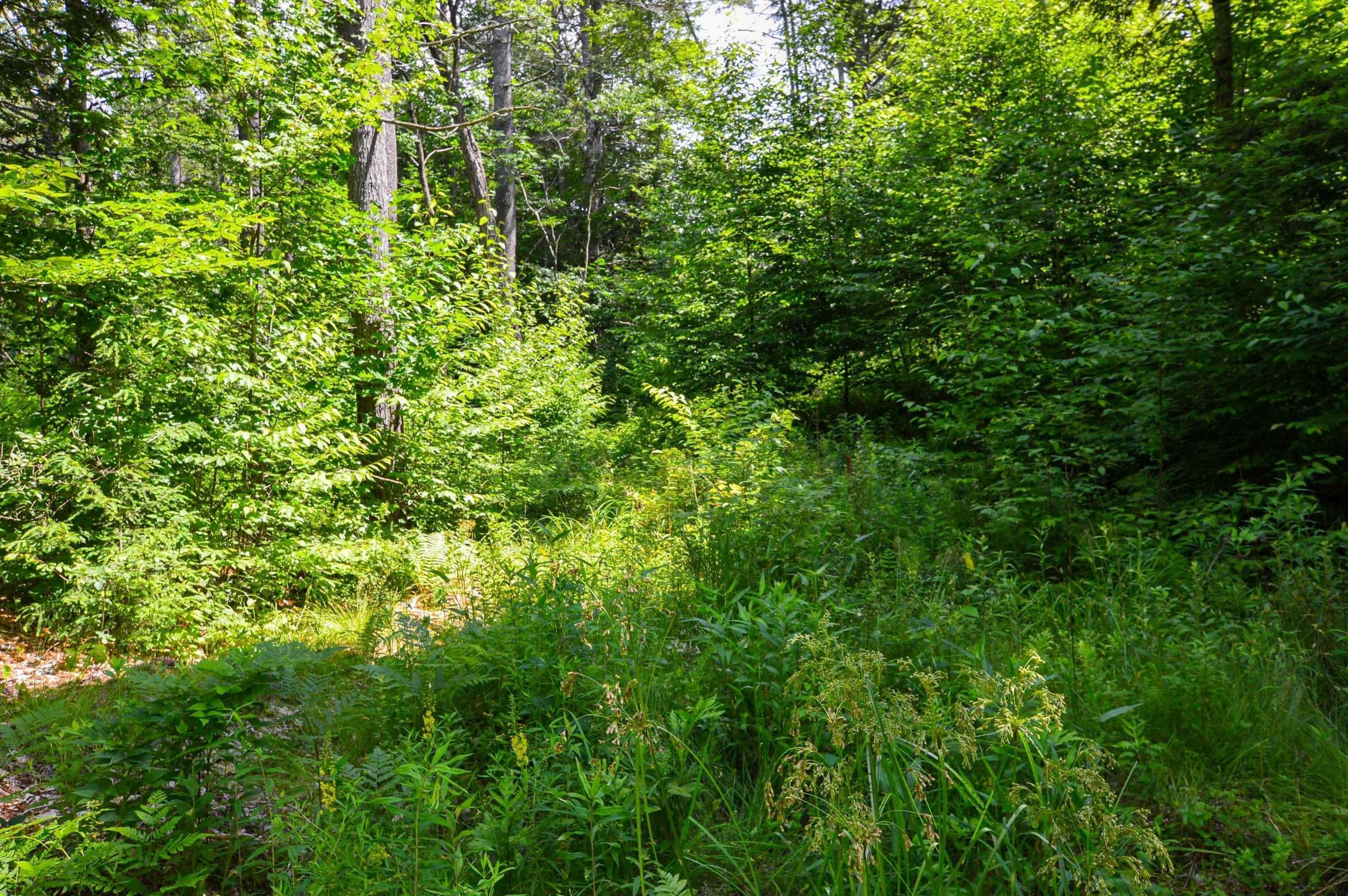 23. Land for Sale at Chester, VT 05143
