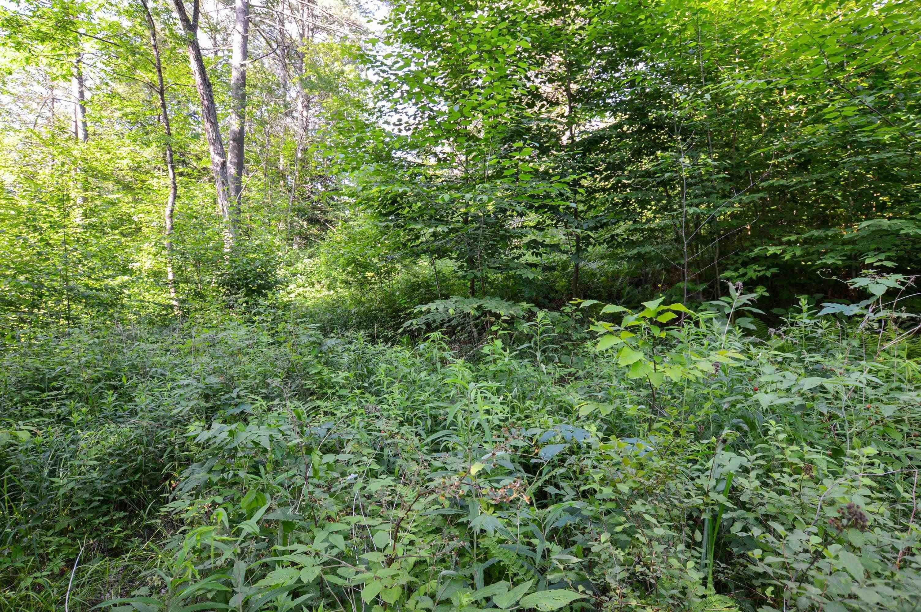 7. Land for Sale at Chester, VT 05143