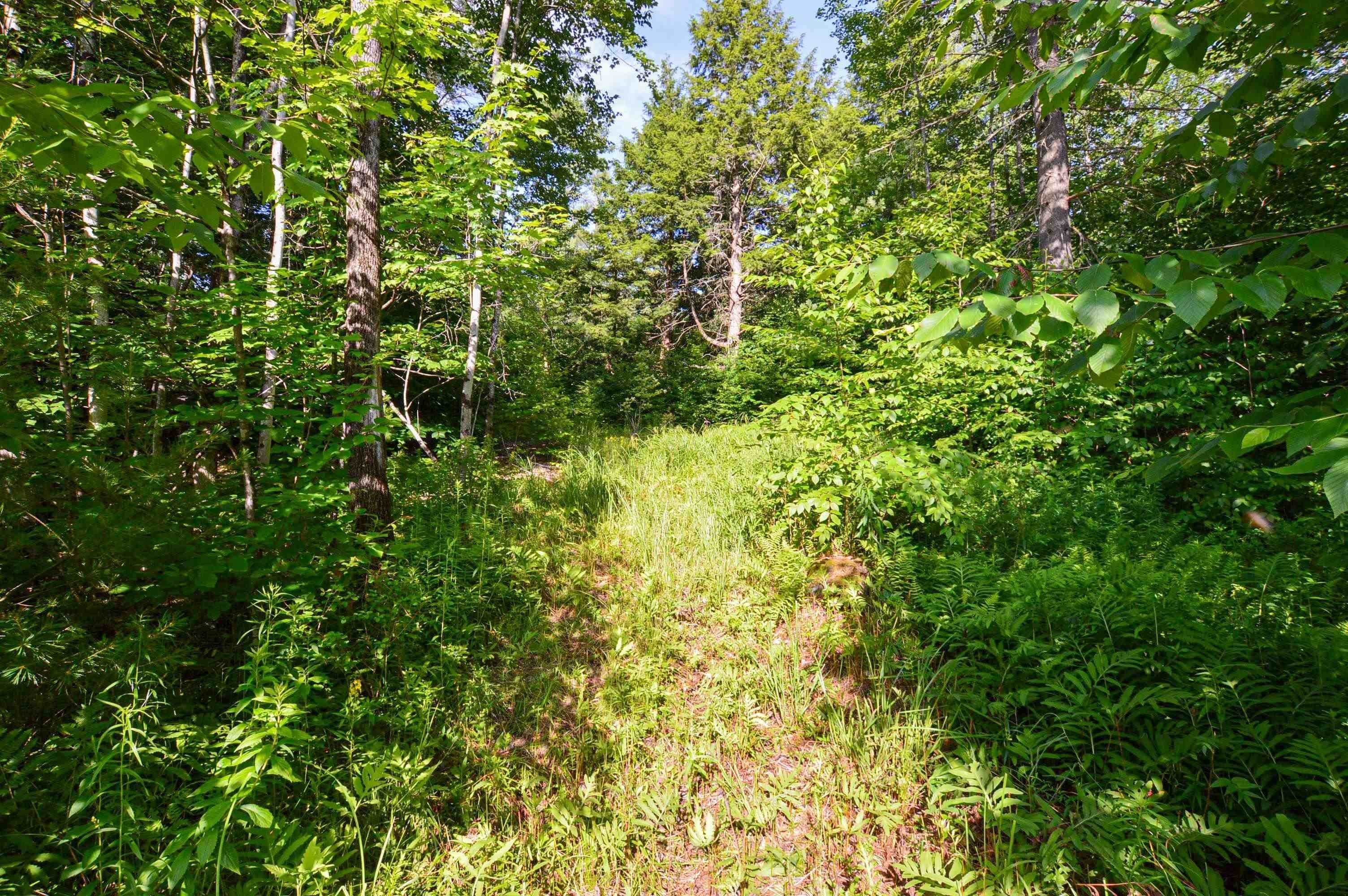 5. Land for Sale at Chester, VT 05143