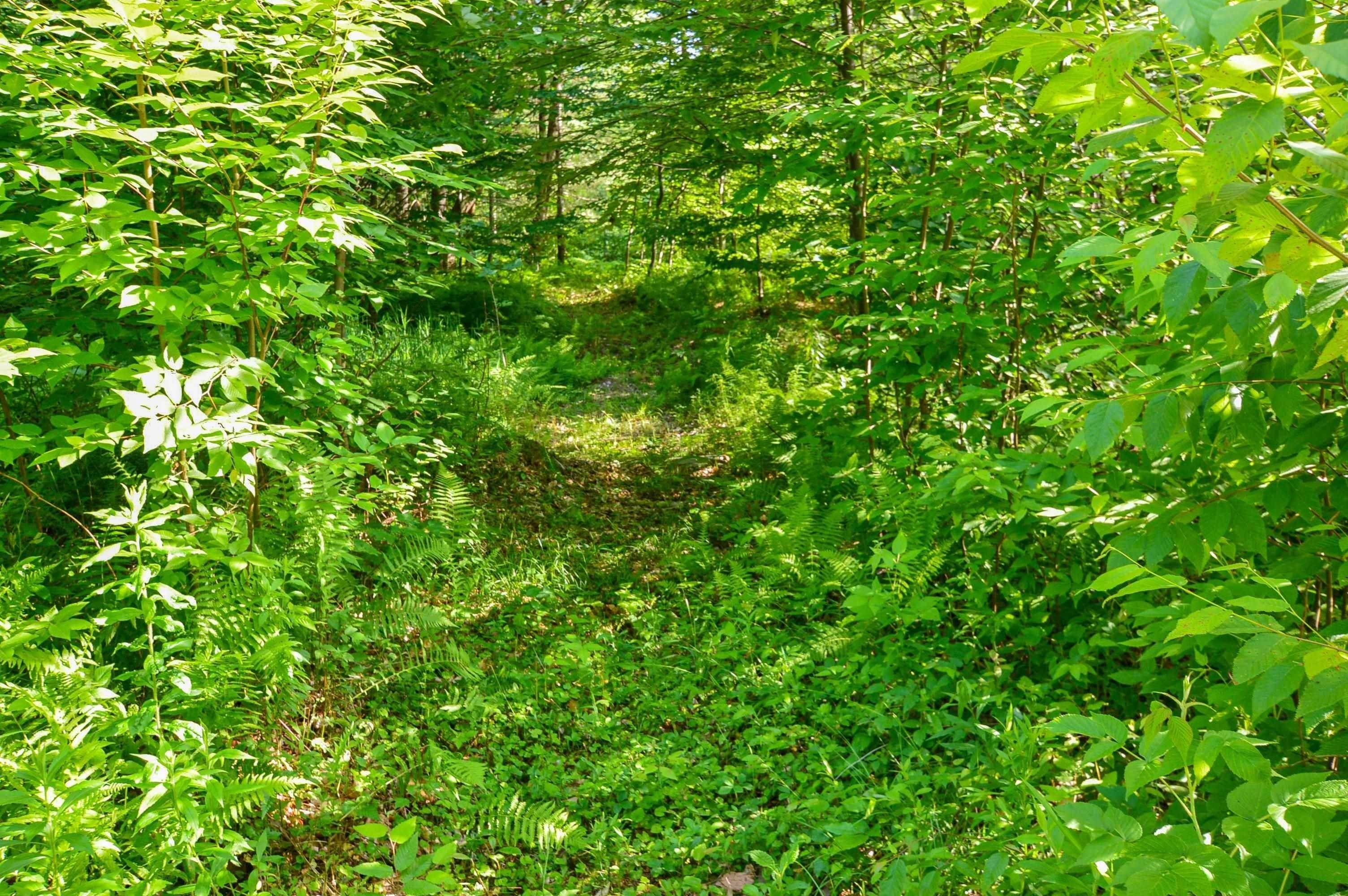 14. Land for Sale at Chester, VT 05143