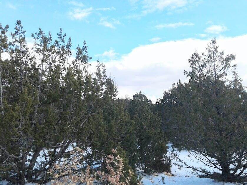 Land for Sale at Edgewood, NM 87015
