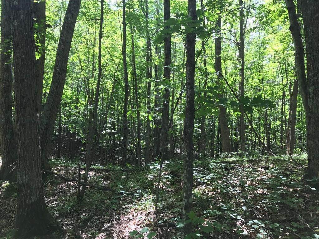 4. Land for Sale at Hayward, WI 54843