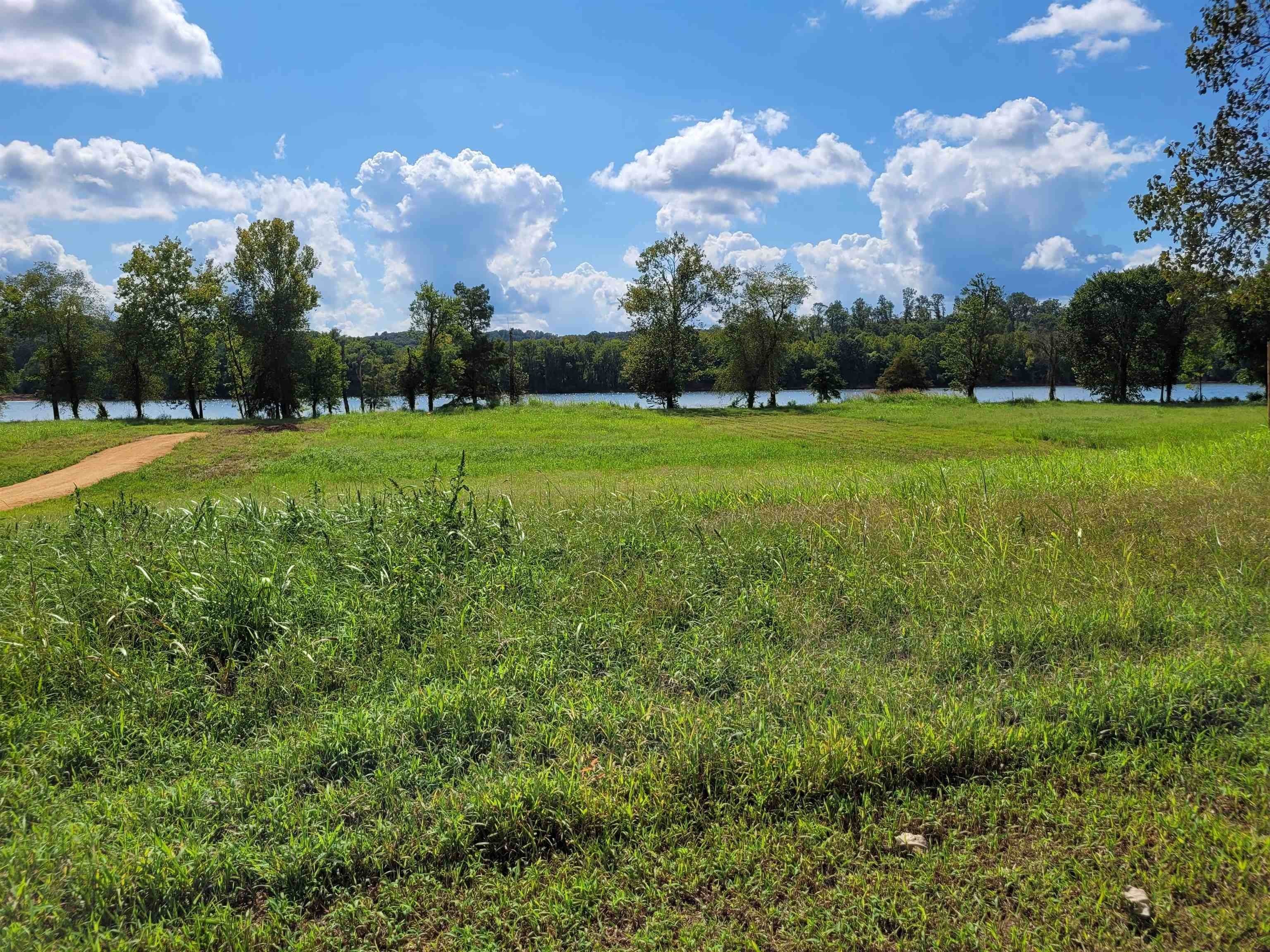 11. Land for Sale at Clifton, TN 38425