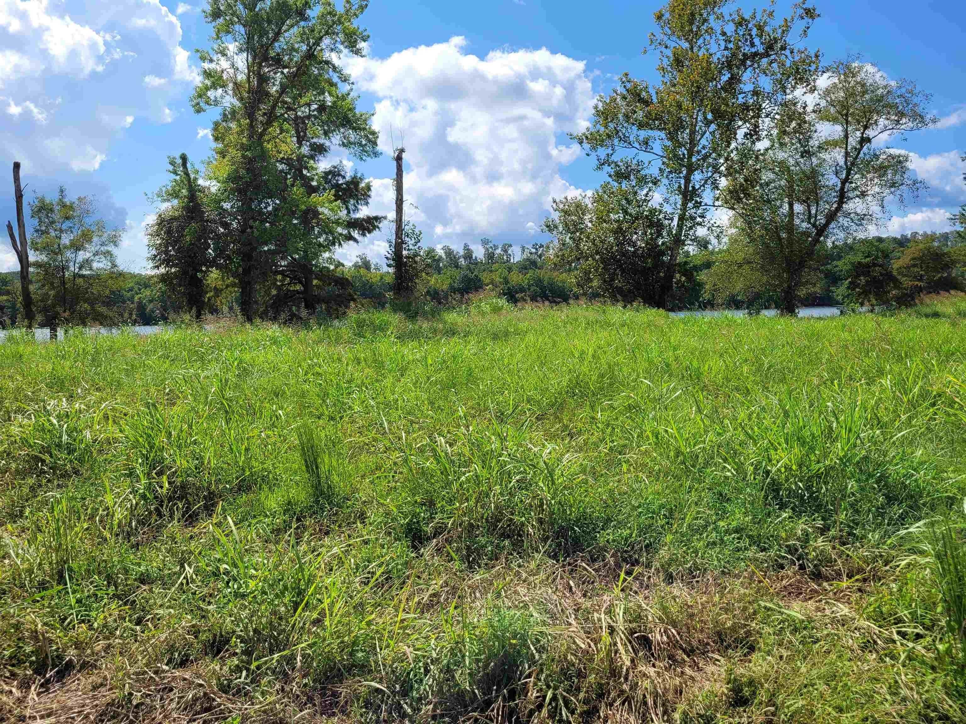 4. Land for Sale at Clifton, TN 38425