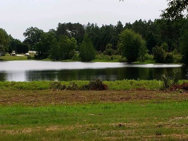 4. Farm / Agriculture for Sale at Broxton, GA 31519