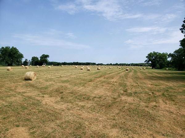 7. Farm / Agriculture for Sale at Broxton, GA 31519