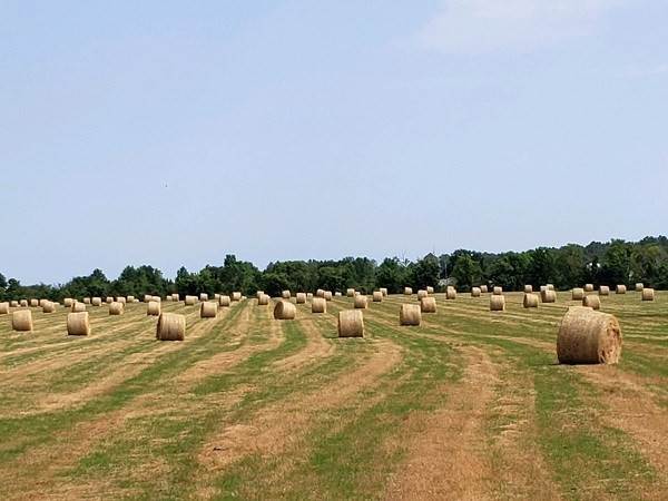 12. Farm / Agriculture for Sale at Broxton, GA 31519