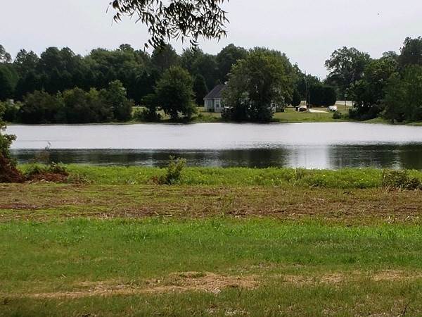 3. Farm / Agriculture for Sale at Broxton, GA 31519