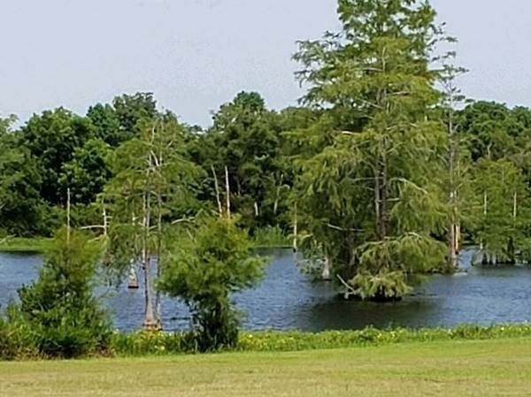 2. Farm / Agriculture for Sale at Broxton, GA 31519