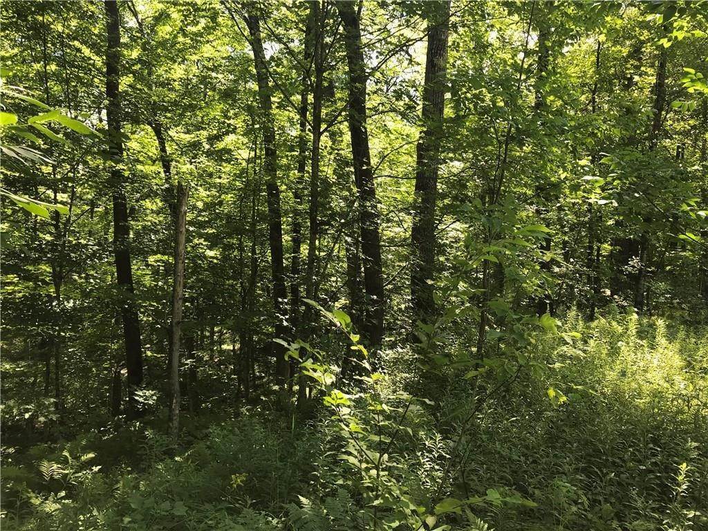 3. Land for Sale at Hayward, WI 54843
