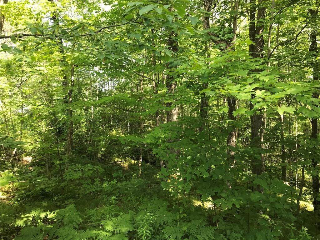 4. Land for Sale at Hayward, WI 54843