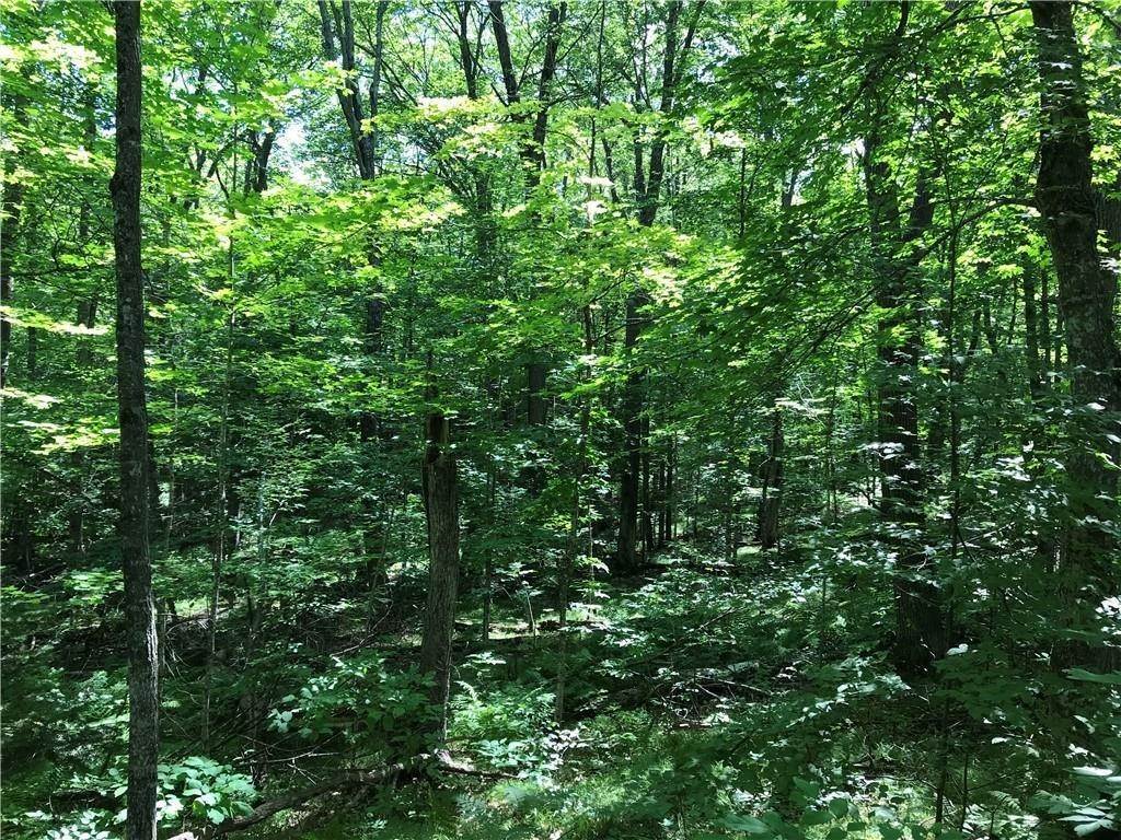 5. Land for Sale at Hayward, WI 54843
