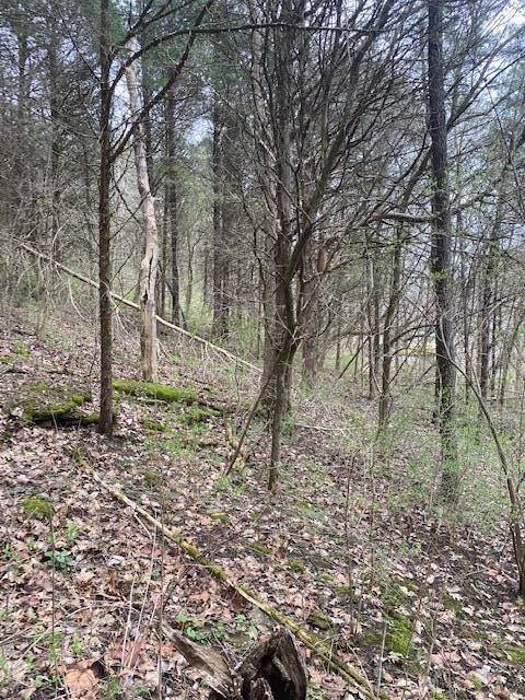 4. Land for Sale at Madison, IN 47250