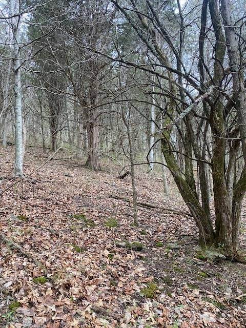 5. Land for Sale at Madison, IN 47250