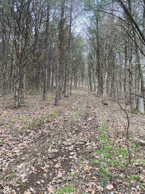 7. Land for Sale at Madison, IN 47250