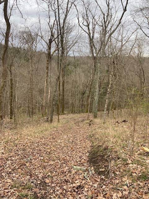 38. Land for Sale at Madison, IN 47250