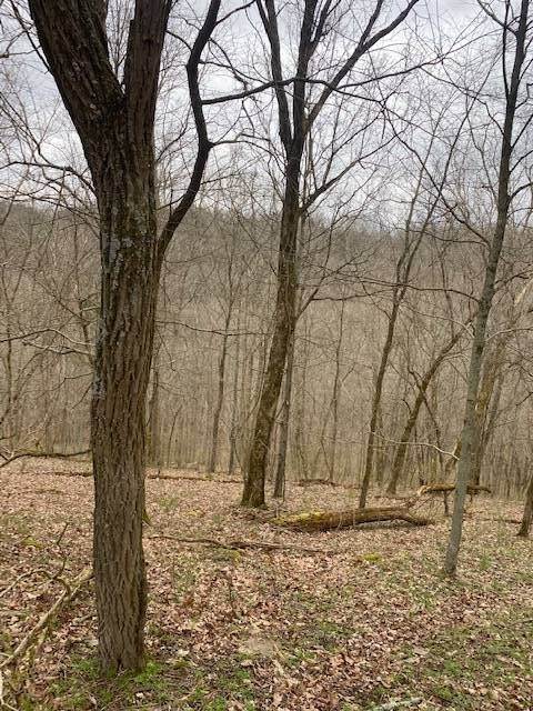 31. Land for Sale at Madison, IN 47250