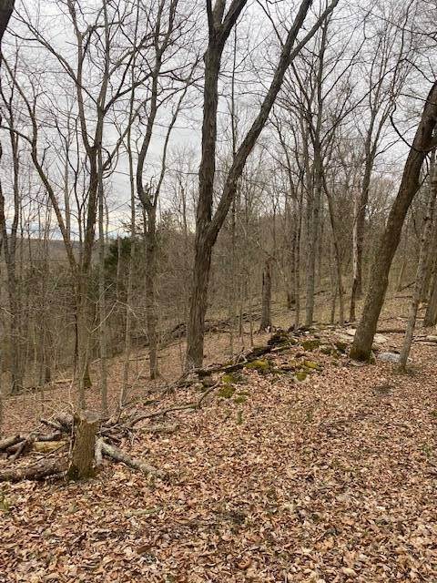 28. Land for Sale at Madison, IN 47250