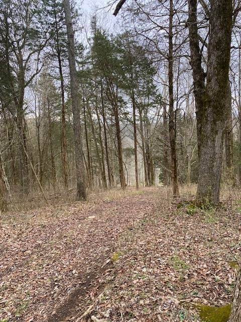 43. Land for Sale at Madison, IN 47250