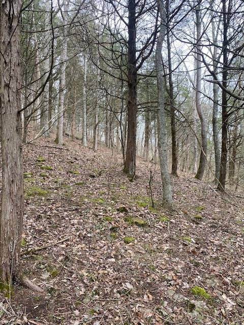 8. Land for Sale at Madison, IN 47250