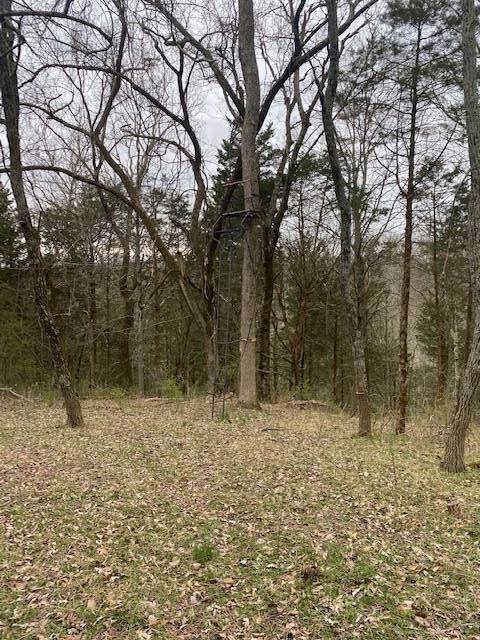 14. Land for Sale at Madison, IN 47250