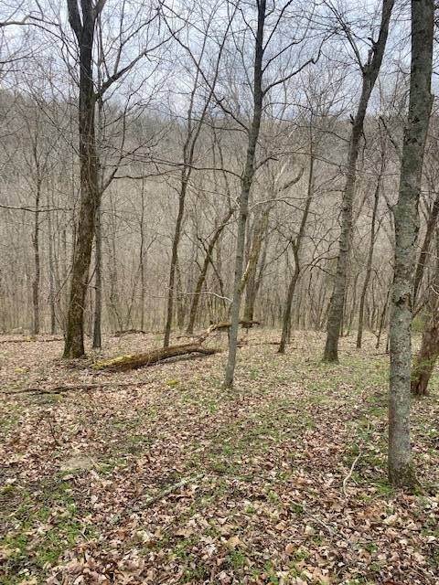 30. Land for Sale at Madison, IN 47250