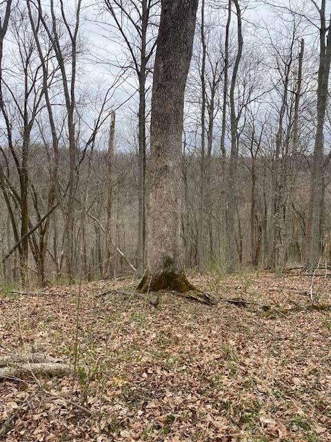 36. Land for Sale at Madison, IN 47250